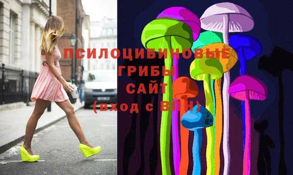 мяу мяу мука Баксан
