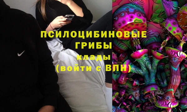 гидропоника Белокуриха
