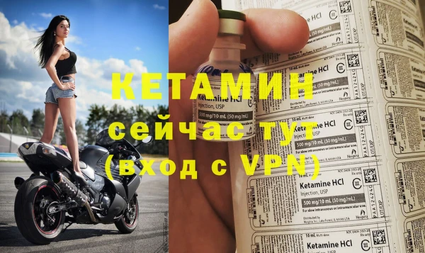 индика Балахна