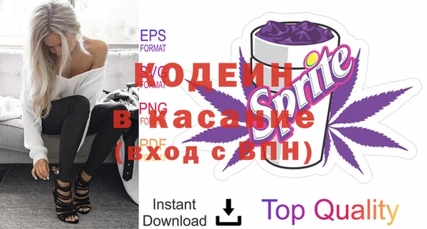 индика Балахна