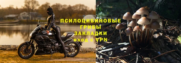 гидропоника Белокуриха