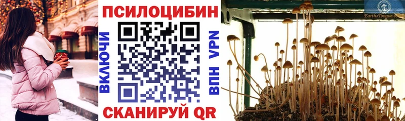 Псилоцибиновые грибы прущие грибы  закладки  Томари 